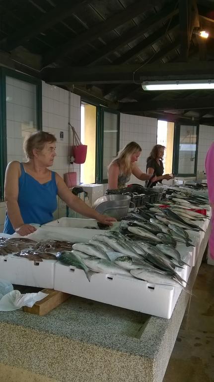 Apartman Noni Biograd na Moru Kültér fotó